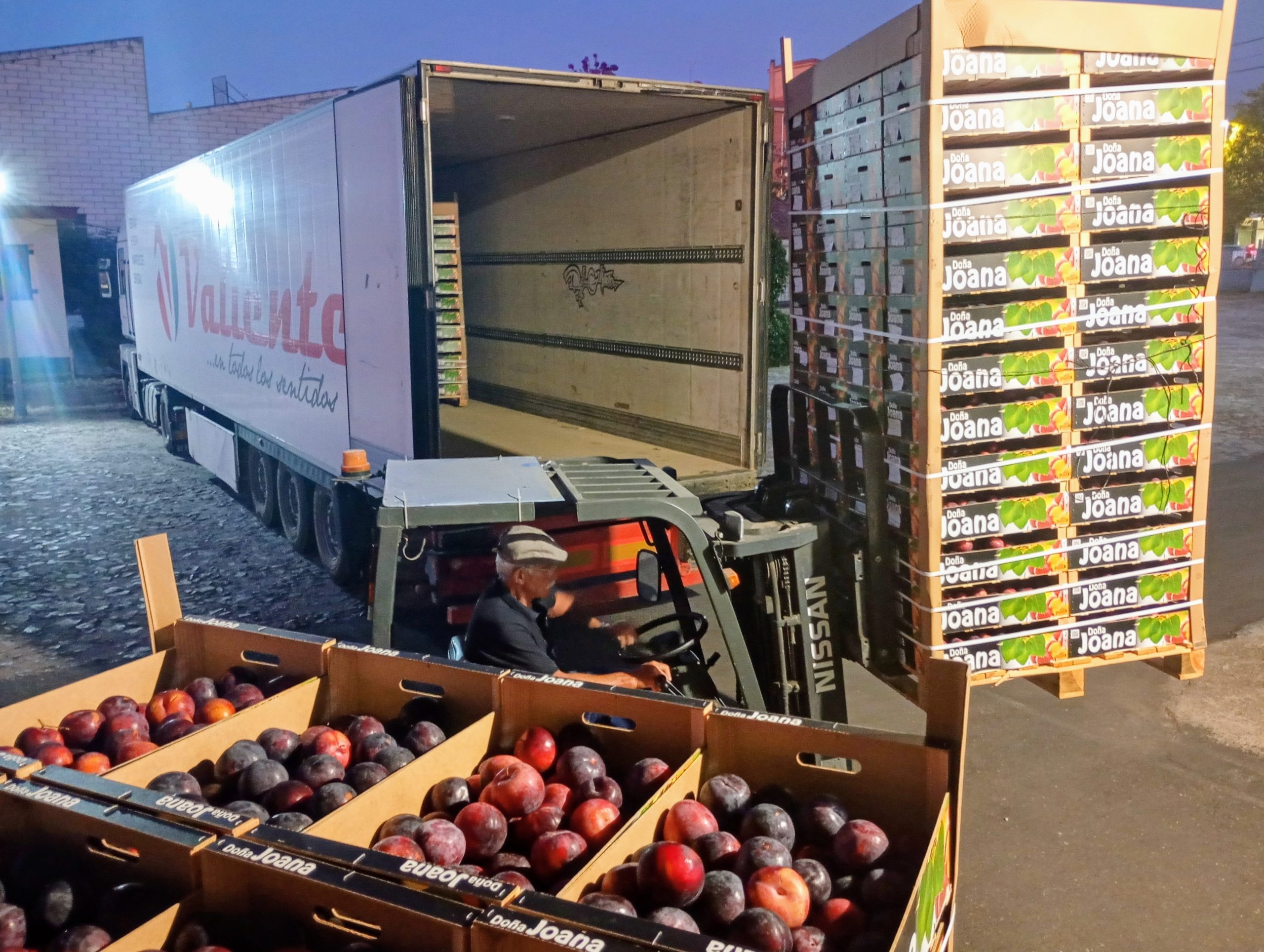 Descargando un camión de fruta a las siete y cuarto de la mañana