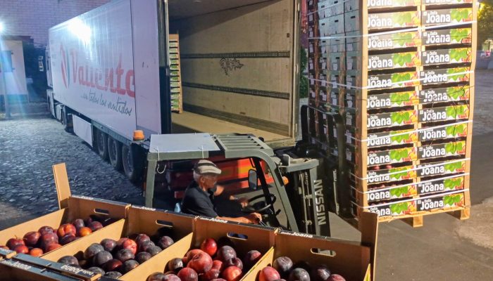 Descargando un camión de fruta a las siete y cuarto de la mañana