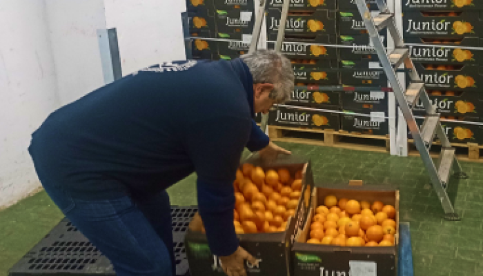 Estamos repartiendo 20.391,94 kilos de peras procedentes de Tudela y ciruelas de Pueblonuevo